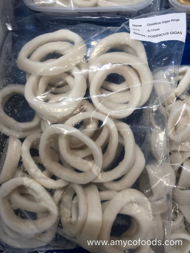 Frozen Squid Rings Origin China