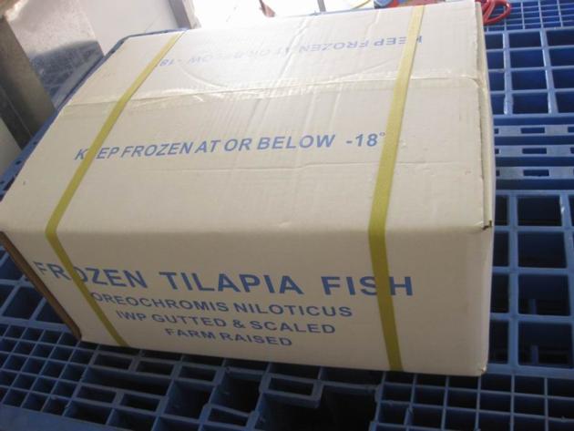 Frozen Tilapia WGS Origin China
