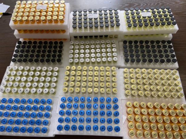 Testosterone Enanthate Test Oil 10ml TC