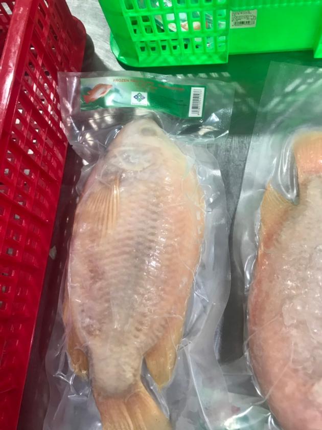 Frozen Red Tilapia Gutted And Scaled