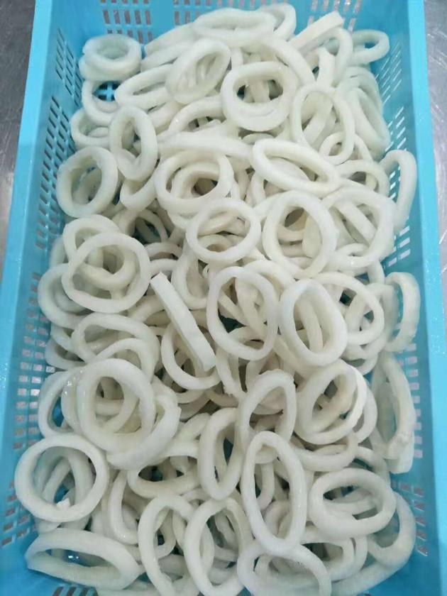 Frozen squid rings origin China