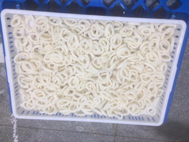 Frozen Squid Rings Origin China