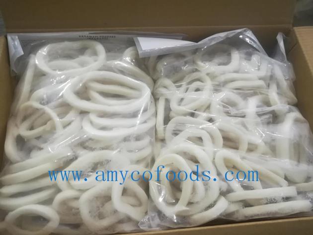 Frozen Squid Rings Good Quality Good