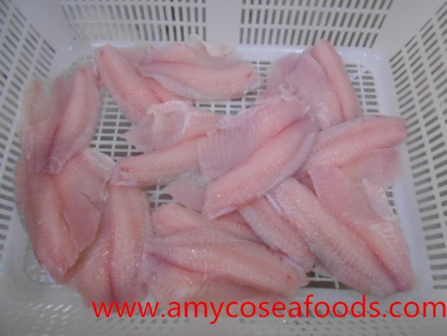 Frozen IVP Tilapia Fillets Good Price