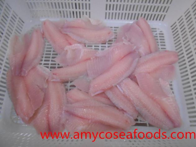 Good Quality Frozen Tilapia Fillet Good