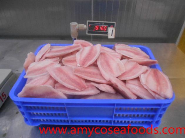 IQF tilapia fillet good quality good price