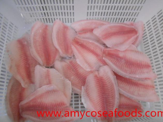 Frozen IVP tilapia fillets good price