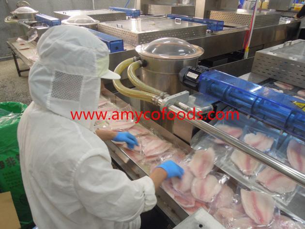 Frozen CO Treated Tilapia Fillet Origin