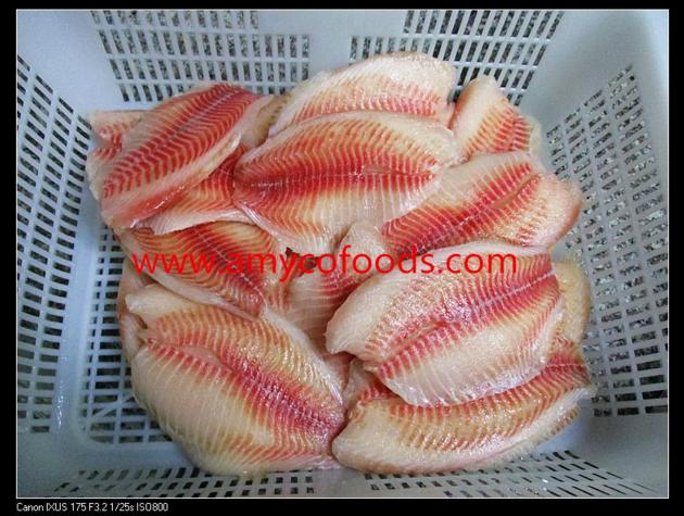 Frozen tilapia fillet skinless and boneless at low price