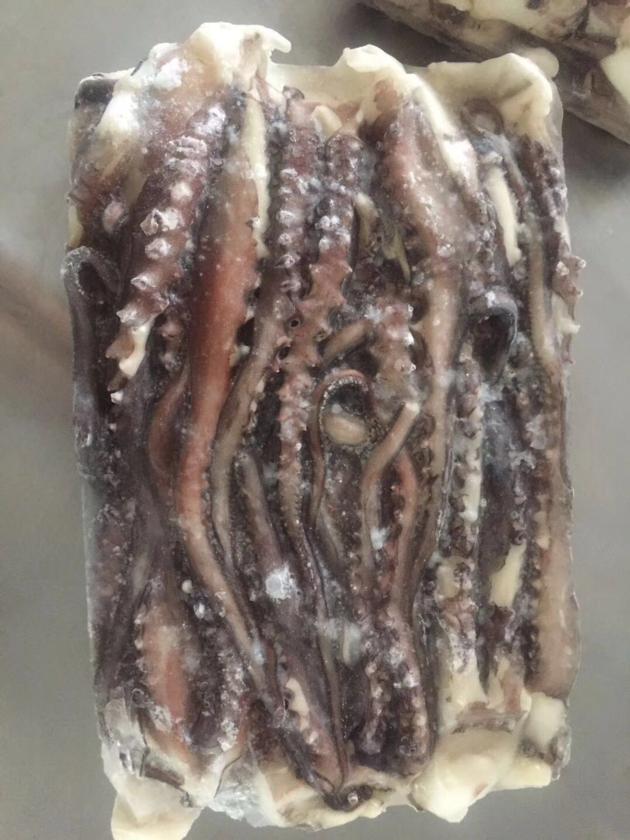 Frozen Squid Tentacles Good Quality Good