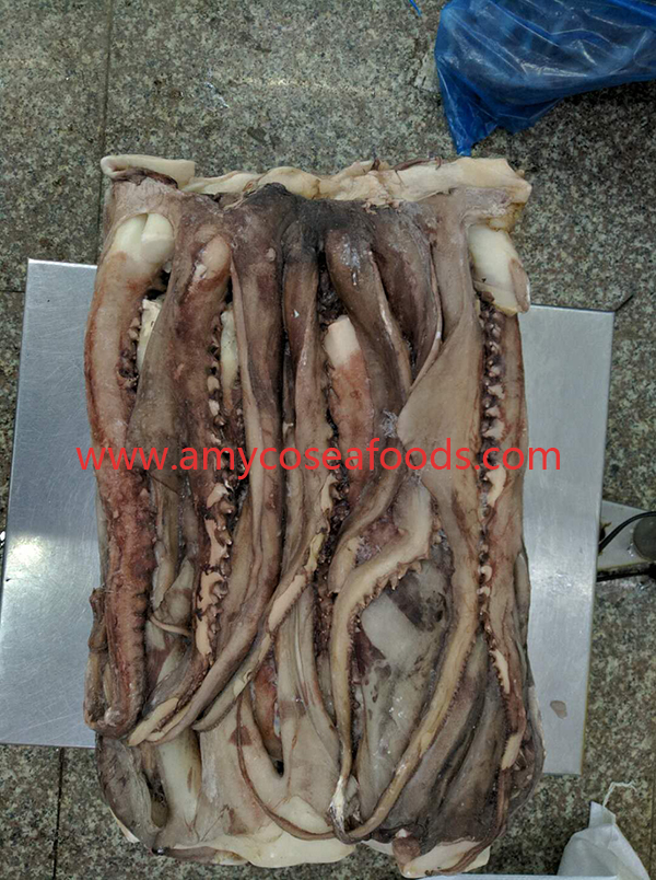 Frozen squid tentacles good quality good price