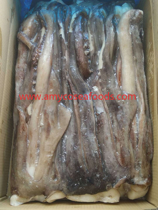 Frozen Squid Tentacles Good Quality Good