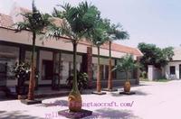 Bottle Palm