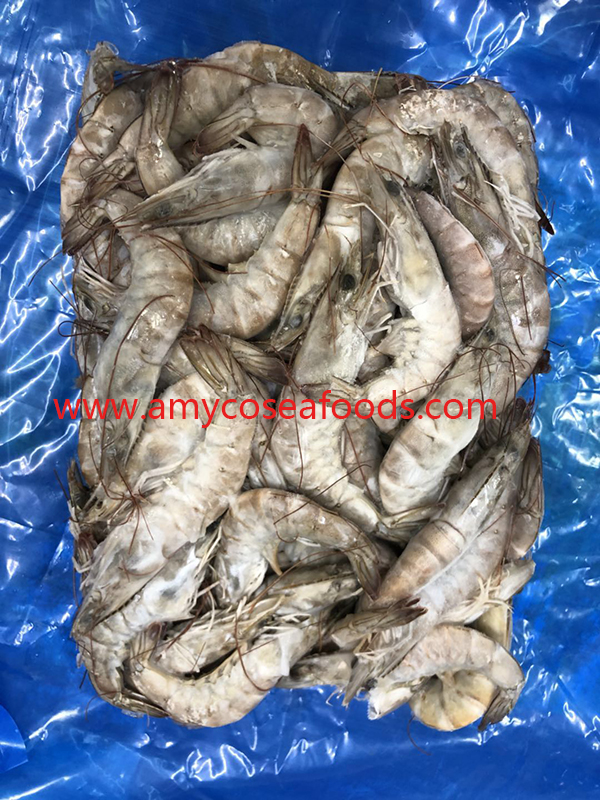 Frozen raw vannamnei HOSO good quality good price