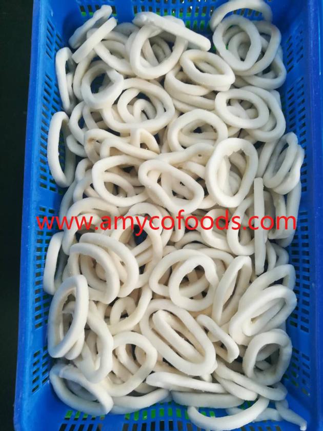 Frozen Squid Rings Good Quality Good