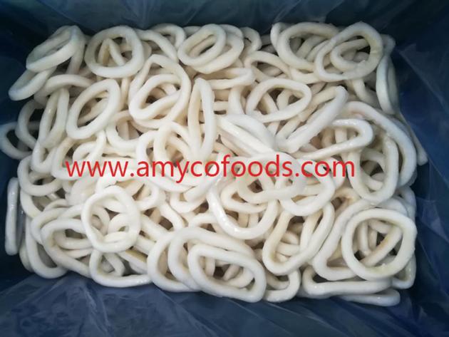 Frozen Squid Rings Good Quality Good