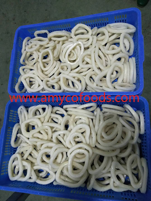 Frozen Squid Rings Good Quality Good