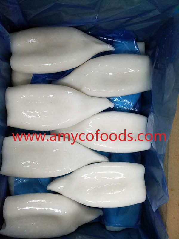 Frozen squid tube good quality good price