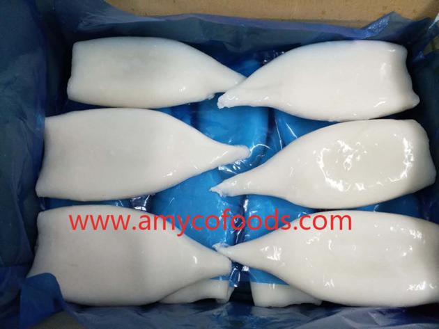 Frozen Squid Tube Good Quality Good