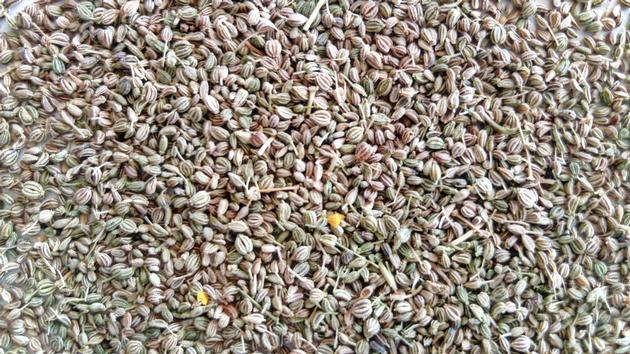 Ajwain Seed