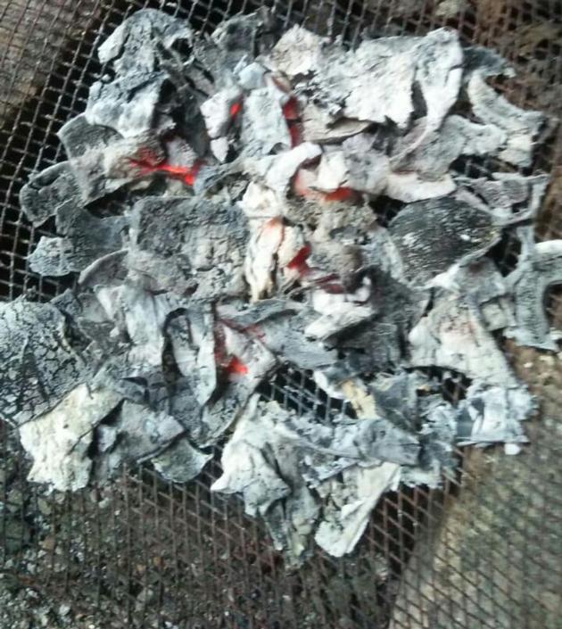 Coconot Shell Charcoal