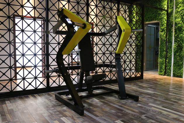 A 01 Chest Press