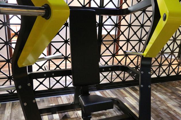 A 01 Chest Press