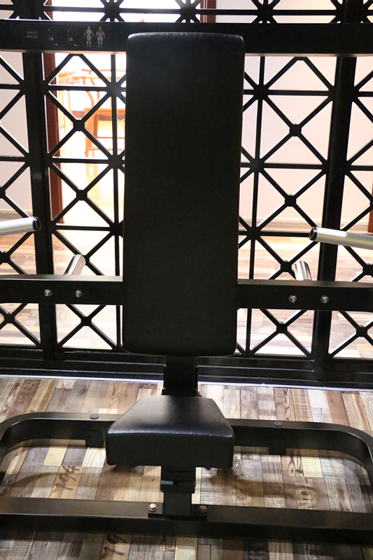 A 01 Chest Press