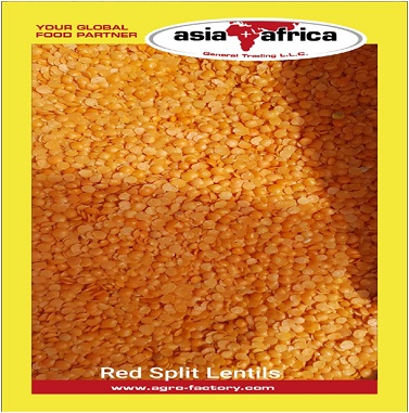 Red Split Lentil