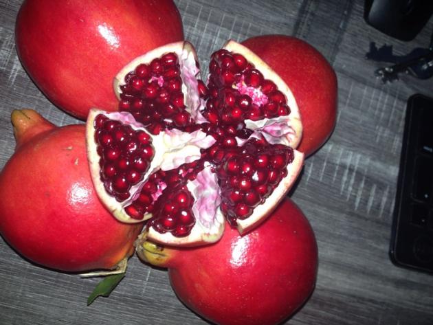 Pomegranate