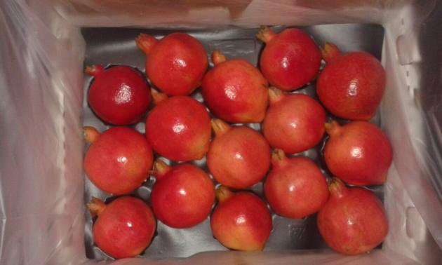 Pomegranate