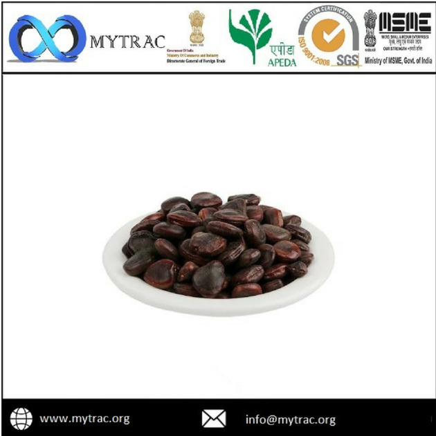 Carboxymethyl Tamarind Kernel Powder