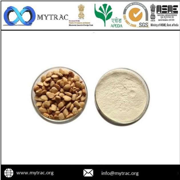 Carboxymethyl Tamarind Kernel Powder