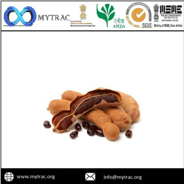 Carboxymethyl Tamarind Kernel Powder