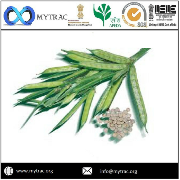 Fast Hydration Guar Gum