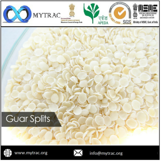 Fast Hydration Guar Gum