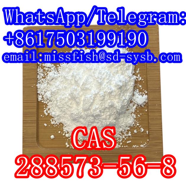CAS  288573-56-8   