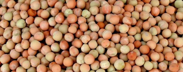 Fried Peas
