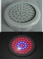 LED grow light 50w