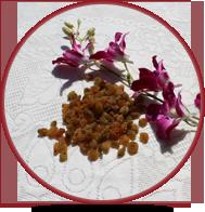 Malayer Raisins Manufacturer & Exporter india