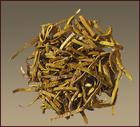 Cortex Phellodendri extract