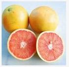 Grapefruit Extract