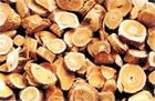 Astragalus extract