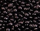 Black soybean hull extract