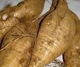 Radix Puerariae extract