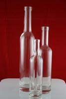glass bottle1