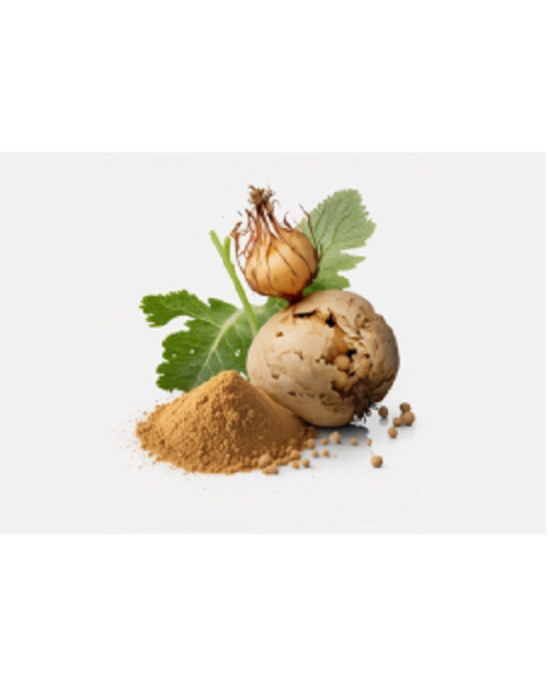 Maca Powder/ Extract