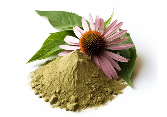 Echinacea Extract