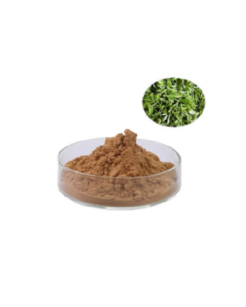Green Tea Extract