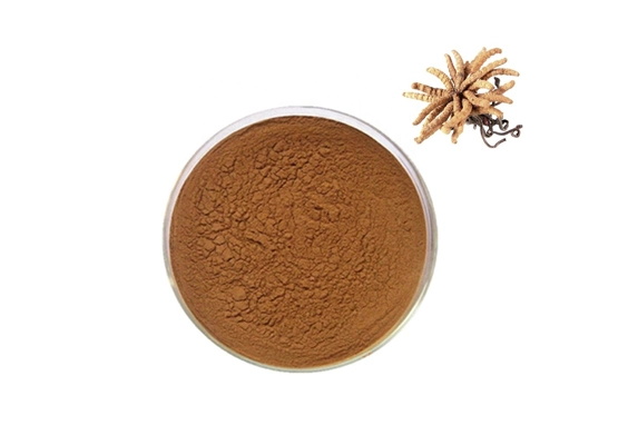 Cordyceps Sinensis Extract